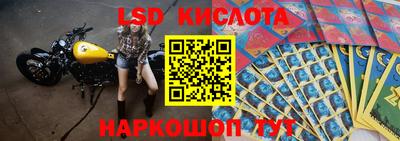 прущие грибы Гагарин