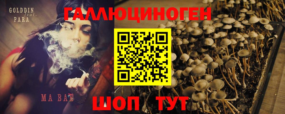 Псилоцибиновые грибы Psilocybe  Вход с VPN  Кемерово  Галлюциногенные грибы Magic Shrooms 