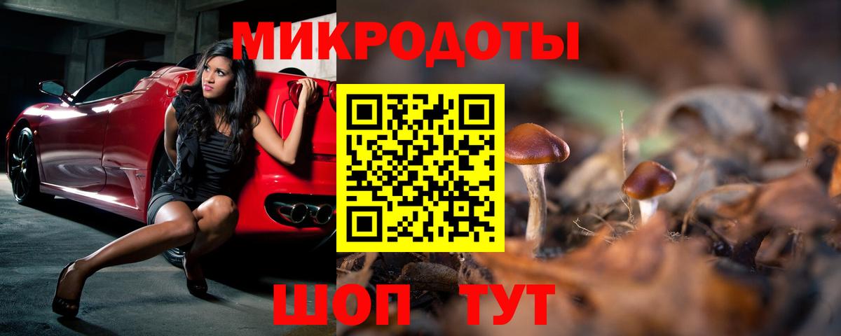 Галлюциногенные грибы мицелий Кемерово