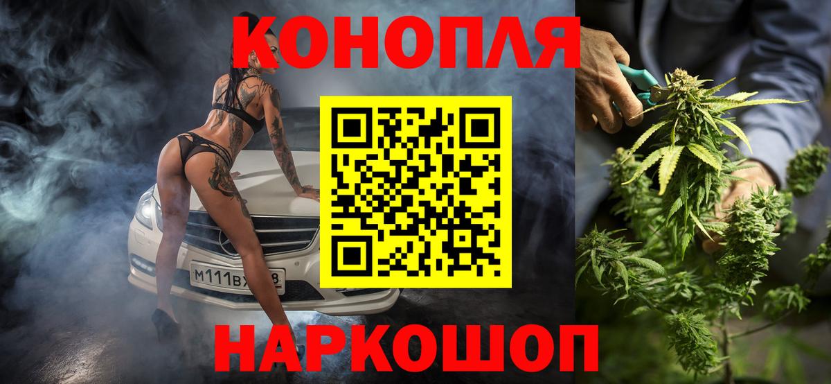 Конопля план Кемерово